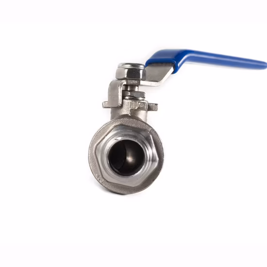 Edelstahl-Sanitärsanitaire, Lebensmittelqualität, Milch, pneumatische Vakuumklappe, Membran, Sicherheitsventil, Kugelrückschlagventil (JN-BV1001)