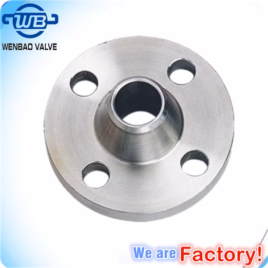 Herstellerpreis F304 Edelstahlflansch Blindflansch